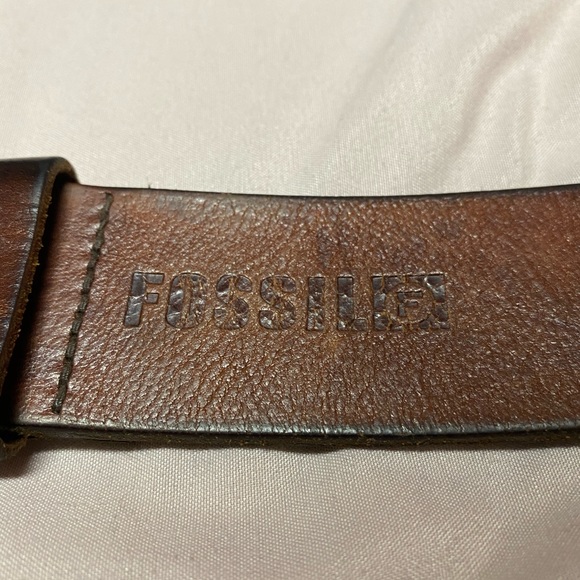 Fossil belt - Picture 2 of 5